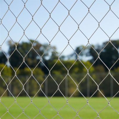 Stainless steel Decorative Plants Climbing Support Wire Rope Mesh