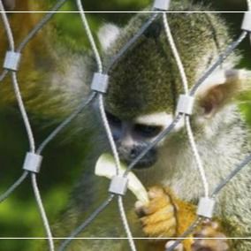 Rejas de alambre de acero inoxidable para recinto de animales de zoológico
