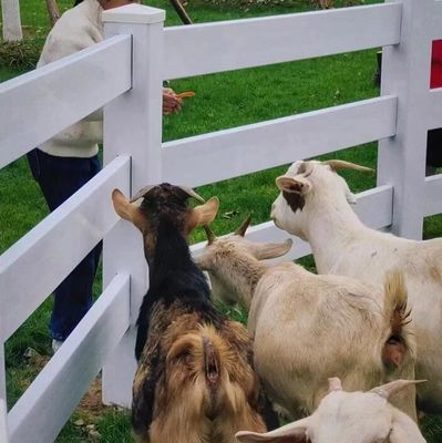2 rieles de plástico para caballos Cercas de campo Cercas de seguridad para equinos Cercas de trenes de plástico