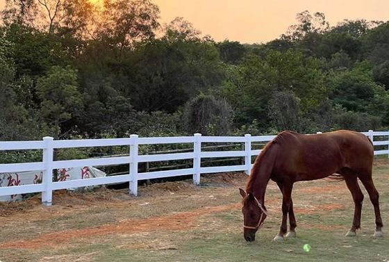Peso pesado 3Rails Caballo PVC Cerco de granja plástico Vinyl Rancho Paddock Cerco de caballo