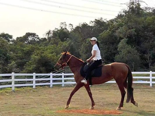 Plastico de vinilo exterior impermeable para cercas de rancho cercas de cercado
