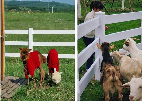 Muestra gratuita 1.2m de altura Blanco 3 rieles Vinyl de trabajo pesado cerca Caballo PVC cerca de granja