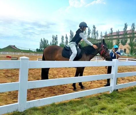 Vínil de ganado de 3 rieles PVC 2 rieles de caballos de montura de la granja de cercas de post rancho