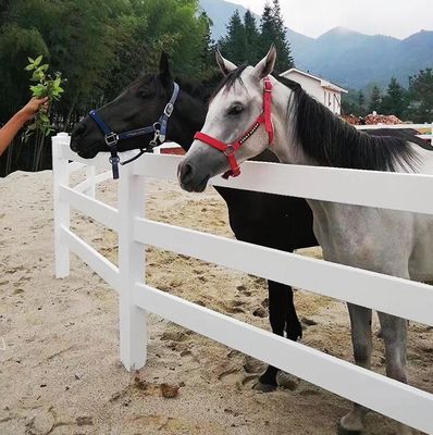 Vínil resistente a los rayos UV cerca de granja de caballos cerca de ferrocarril de caballos blancos