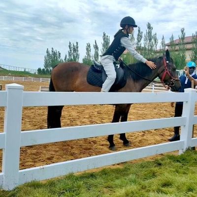 Cercas de caballo de PVC de 3 barandillas blancas de plástico estable