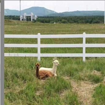3 rieles 1.8 * 2.5m PVC cerca de granja plástico Vinyl Rancho Paddock cerca de caballos