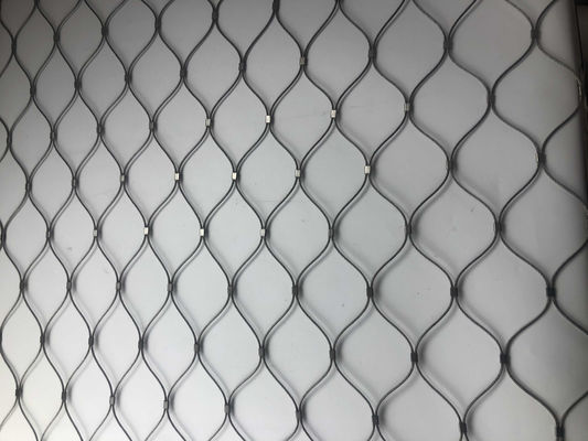 Grueso de acero inoxidable de la malla 2m m 2.5m m 3m m del pájaro de la pajarera 7x7