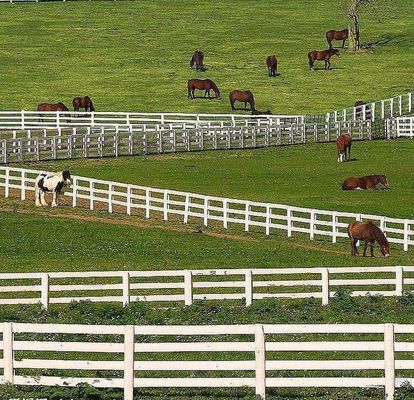 Alambre soldado con autógena subida anti Mesh Fence No Rot 4 carriles poste y Pvc blanco del carril para la granja del caballo