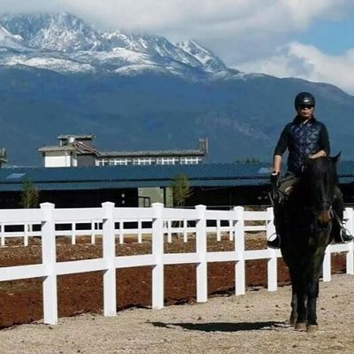 Alambre blanco Mesh Farm Fencing Outdoor Pvc del poste y del carril los 8ft del vinilo para el caballo