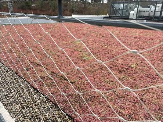 Softness Stainless Steel Rope Wire Mesh with 60° Mesh Opening Angles and Galvanized Finish Polished for Building Protection