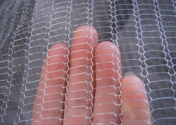 40m m 80m m SS filtran a Mesh Woven Flat Knitted Wire Mesh Filter ISO9002